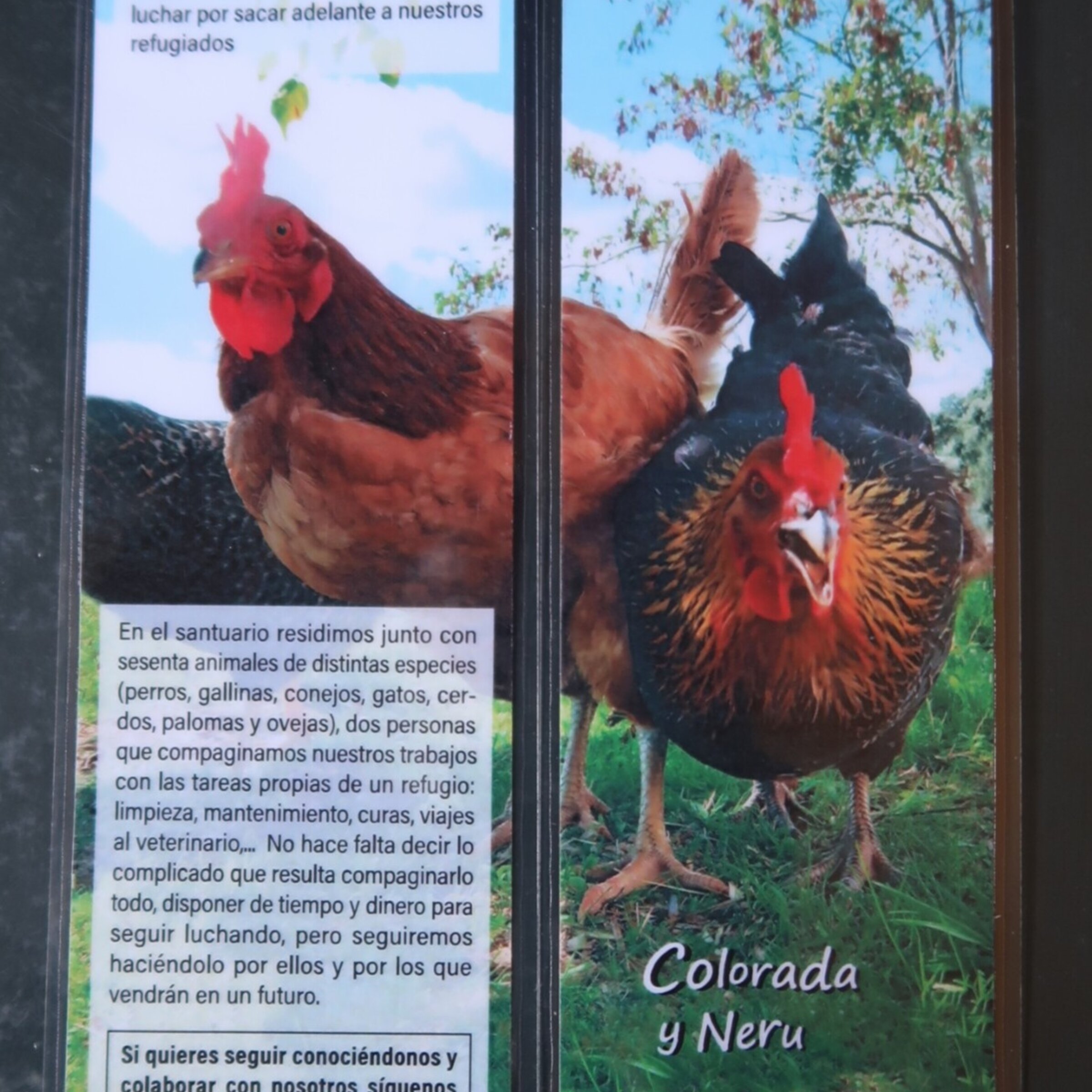 Marcapáginas